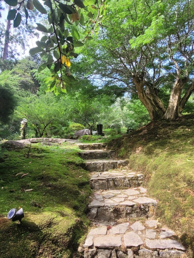 Caminho de pedras no jardim do Condado Louvadeus