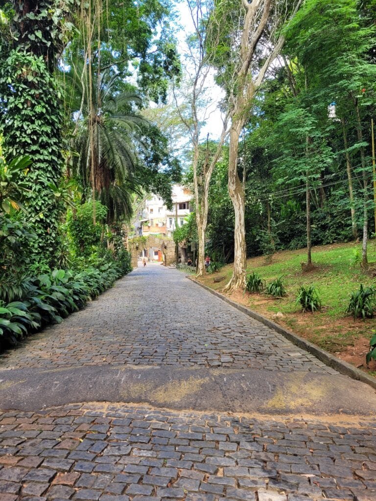 Caminho de paralelepípedo no Parque Natural Municipal da Gávea no Rio de Janeiro