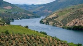 Como Planejar uma Viagem Internacional