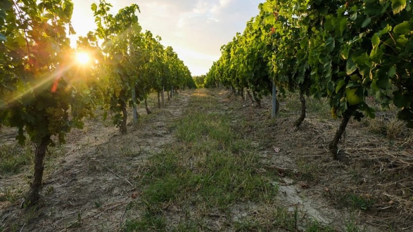 Navegando pelos Aeroportos Mais Movimentados do Mundo: Dicas e Insights 1 50300017433 71f14ef83c b