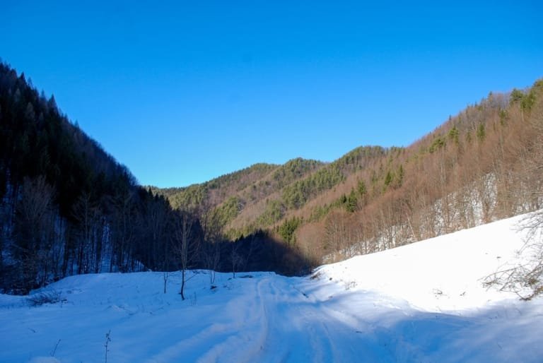 Regras Alfandegárias: O Que Você Pode ou Não Trazer de Volta