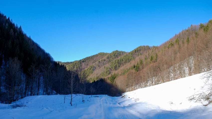 50665587258 a23db5fd9b b