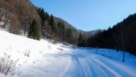 Agência de Viagens ou Planejar por Conta Própria?