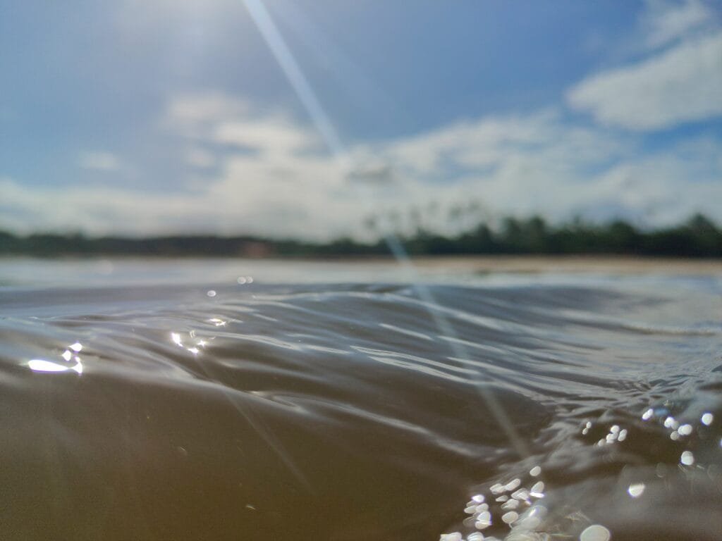 Vista panorâmica do Rio Caraíva com coqueiros e natureza preservada