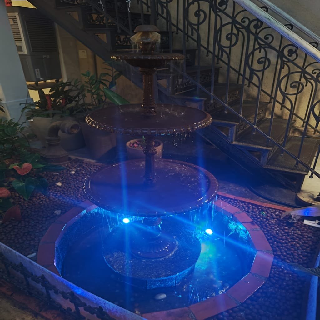 Fonte decorativa com iluminação azul no interior do Jardim Secreto