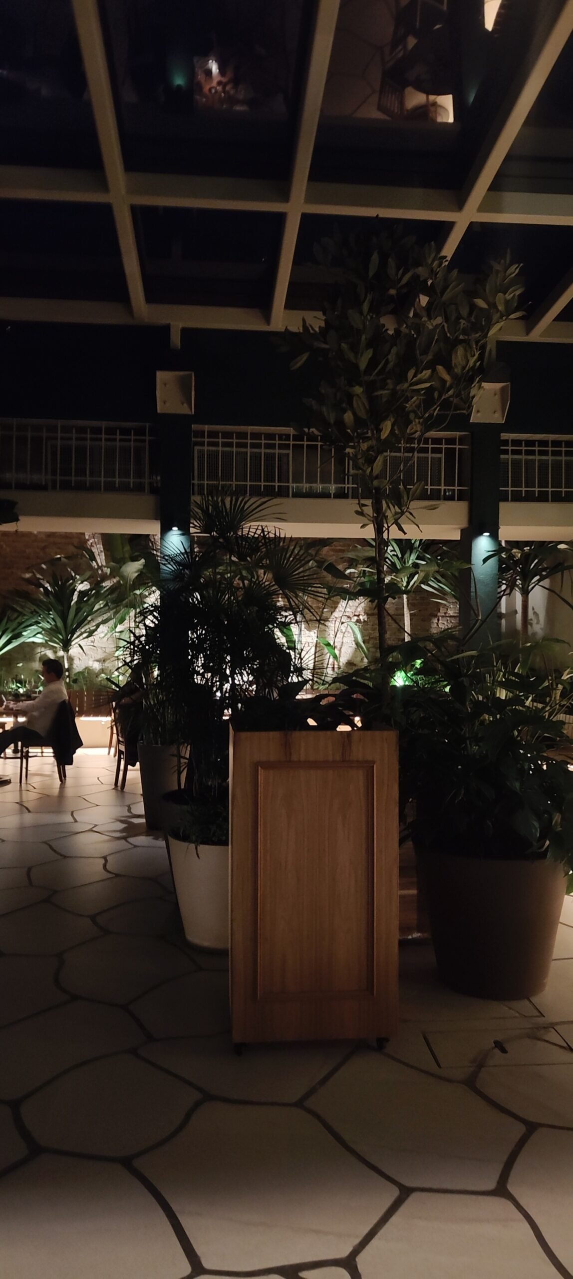 Restaurante São Miguel em Botafogo vale a pena? Nossa experiência e quanto gastamos 3 Jardim interno com vegetação no Restaurante São Miguel, em Botafogo, Rio de Janeiro.