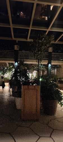 Restaurante São Miguel em Botafogo vale a pena? Nossa experiência e quanto gastamos 14 Jardim interno com plantas no Restaurante São Miguel, em Botafogo, Rio de Janeiro.