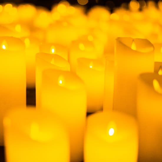 Candlelight Joe Hisaishi no Rio 2026: repertório Ghibli e guia